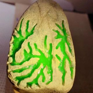 老后江黄盐沙皮玻璃种翡翠原石阳绿手镯料
