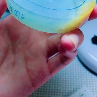冰种飘蓝花翡翠原石片料