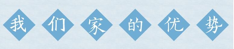 我们的优势