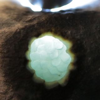 莫西沙玻璃种晴水底翡翠原石毛料