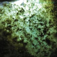 莫西沙脱沙皮玻璃种翡翠原石