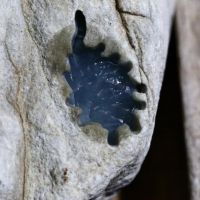 木那老坑灰沙皮糯种翡翠原石